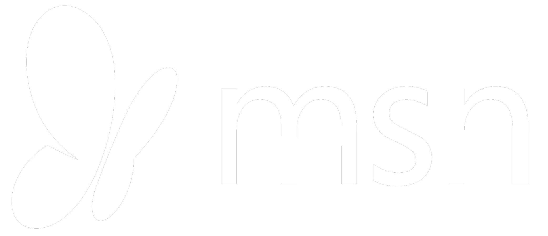 MSN.png